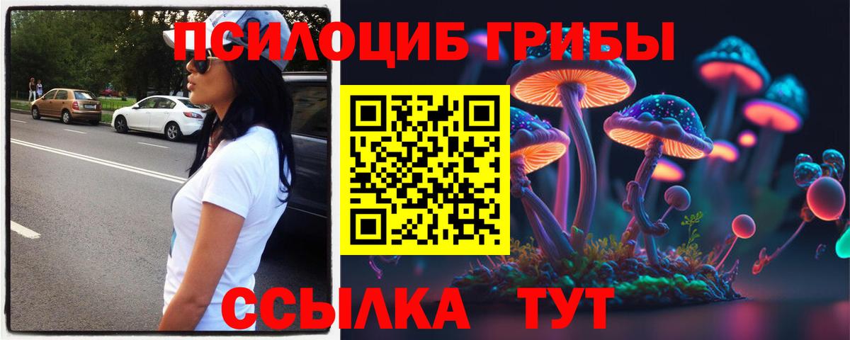 Майкоп  где найти   Вход с VPN  Галлюциногенные грибы ЛСД 