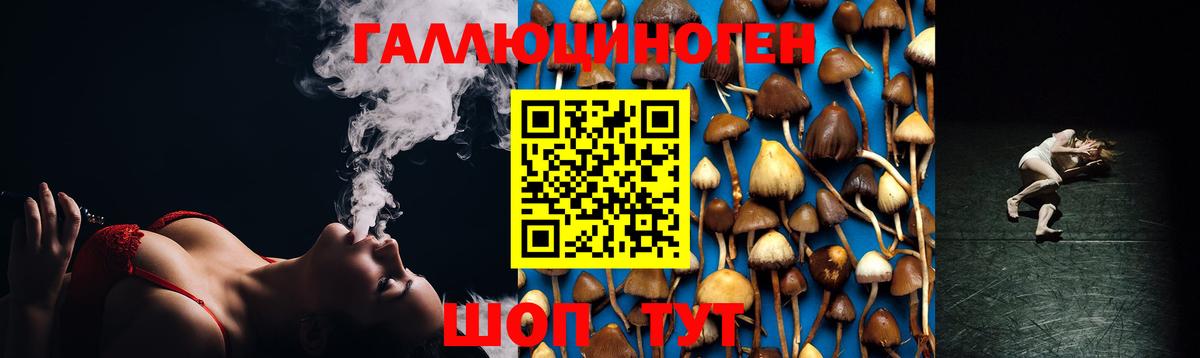 Галлюциногенные грибы прущие грибы Майкоп